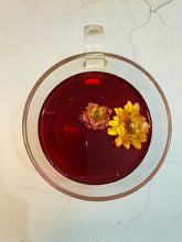 Load image into Gallery viewer, ENCHANTED HIBISCUS